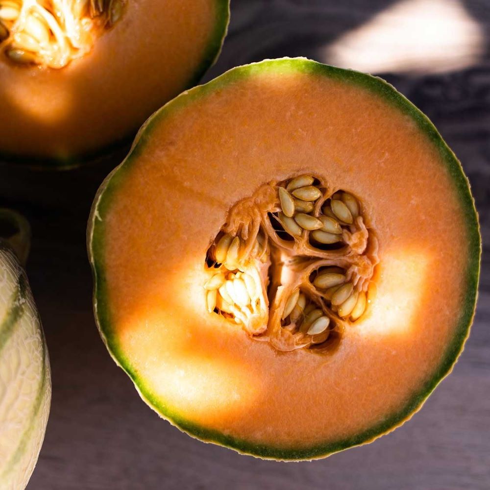 Rockmelon - French Charentais
