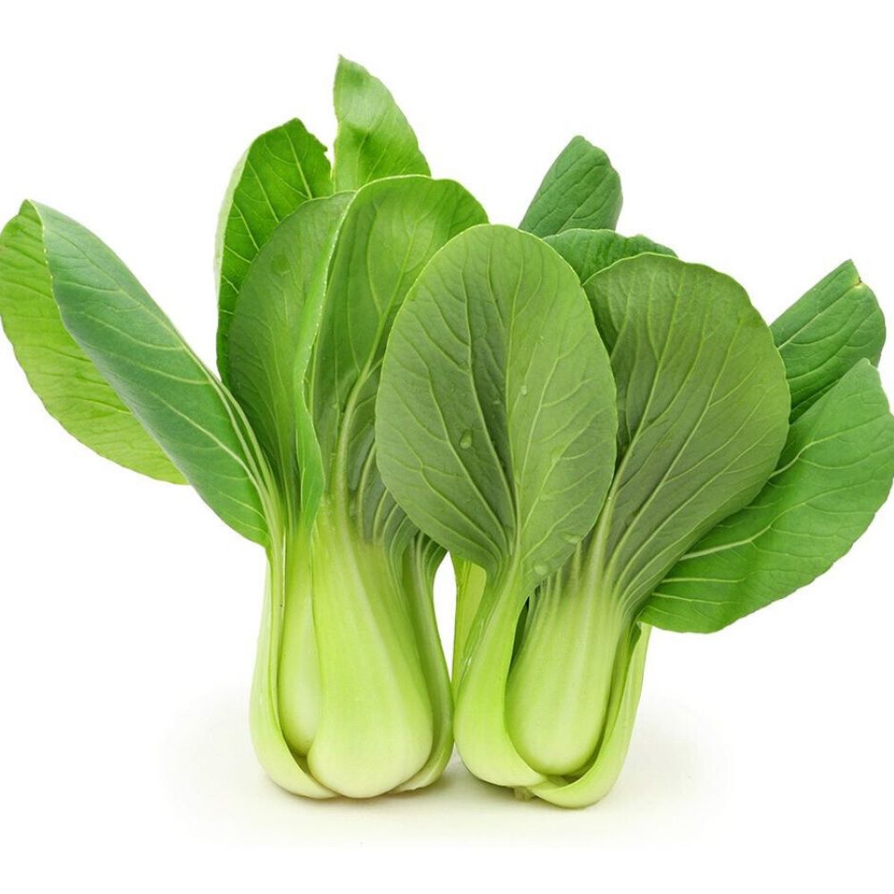 Baby Bok Choy - Green