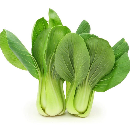 Baby Bok Choy - Green
