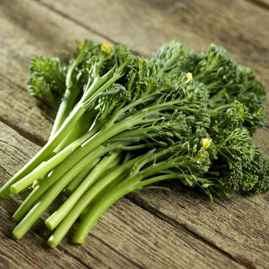Broccoli Baby F1 Brocky