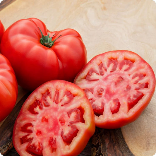 Tomato - Beefsteak