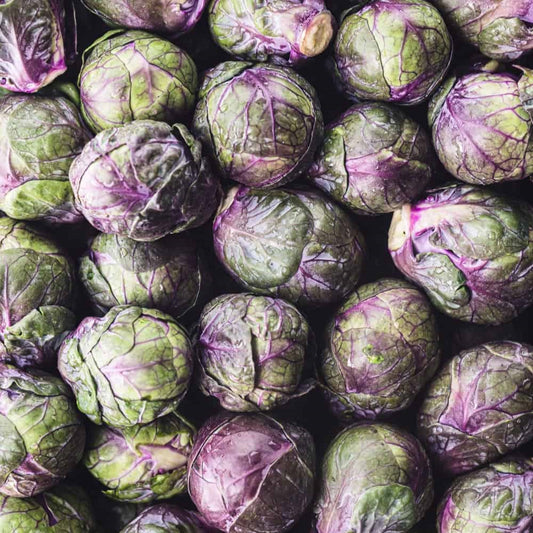 Brussels Sprouts - Red
