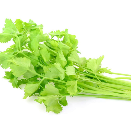 Celery - Chinese Light Green