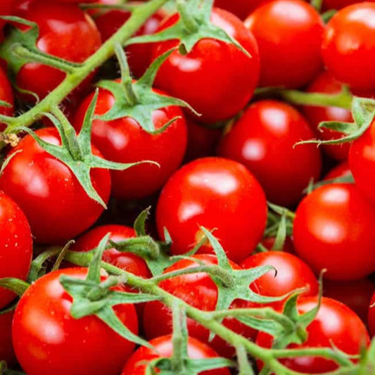 Tomato - Cherry Cocktail