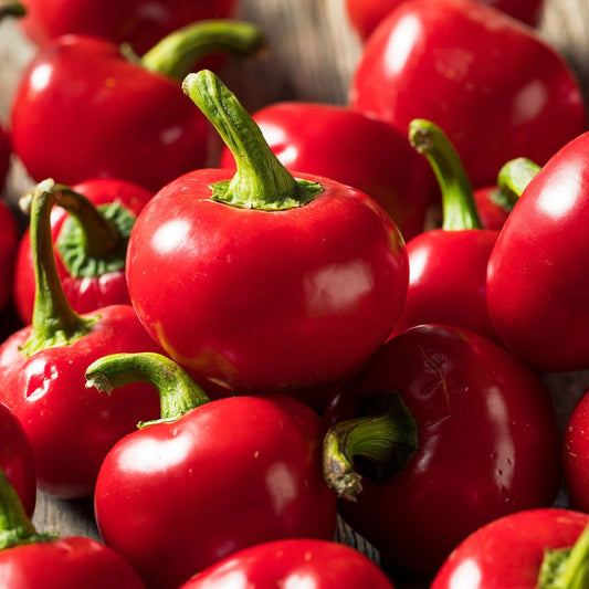 Chilli-Red Cherry Hot