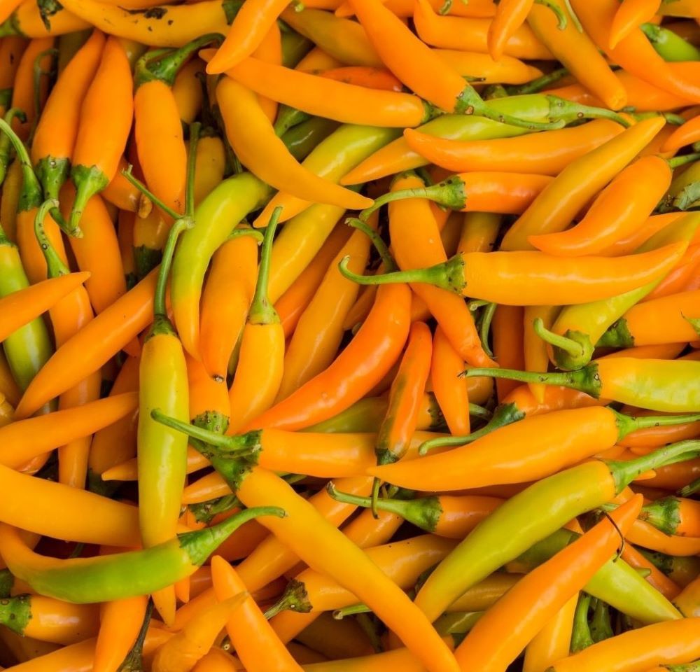 Chilli-Siam