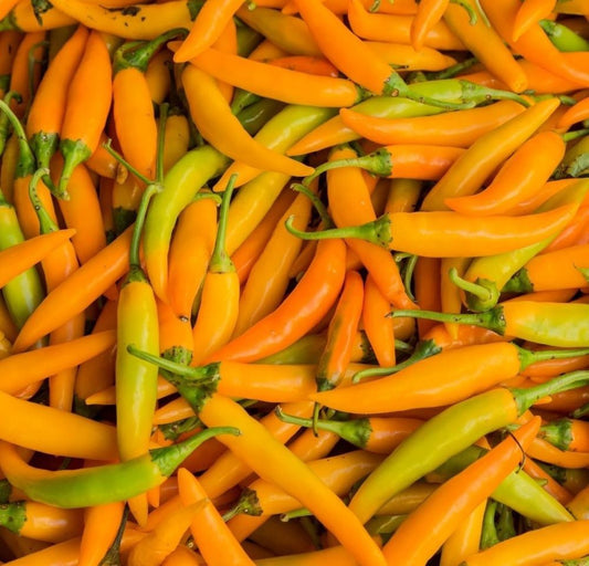 Chilli-Siam