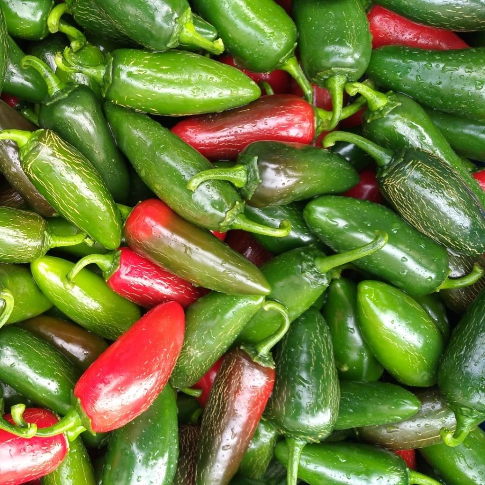 Chilli-Jalapeno