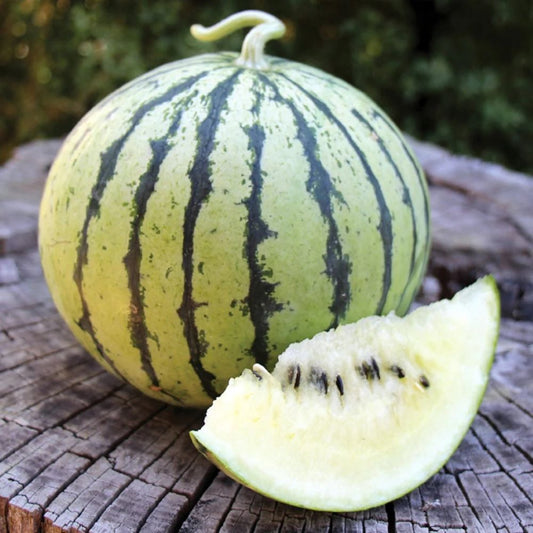 Watermelon - Cream of Saskatchewan