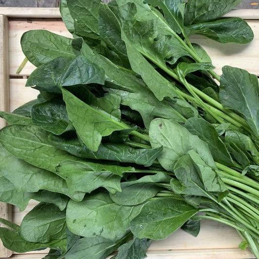 Spinach - English