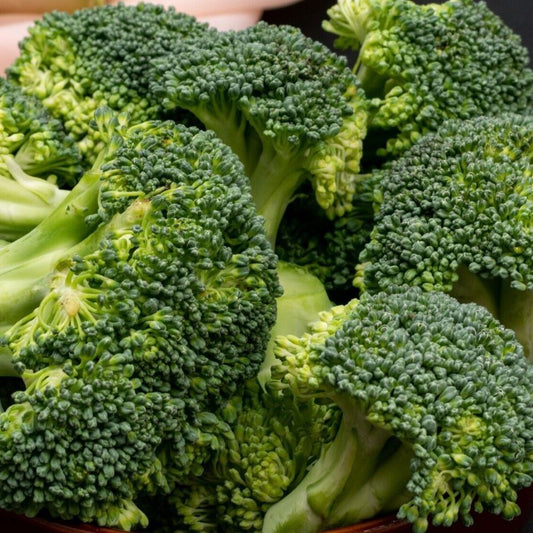 Broccoli - Green Dwarf F1