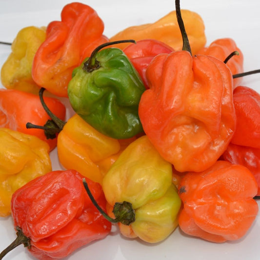Chilli-Habanero Mix