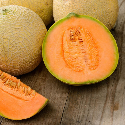 Rockmelon - Hales Best