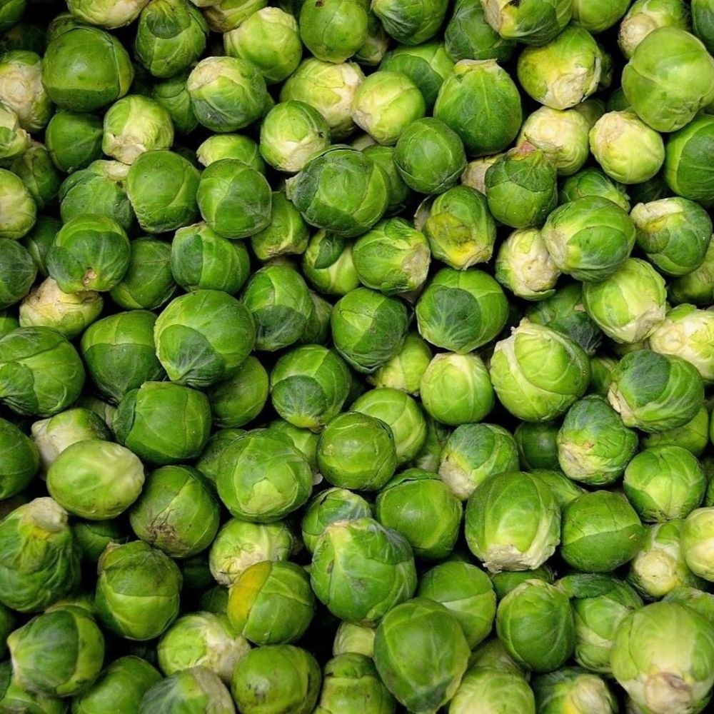 Brussels Sprouts - Long Island Improved