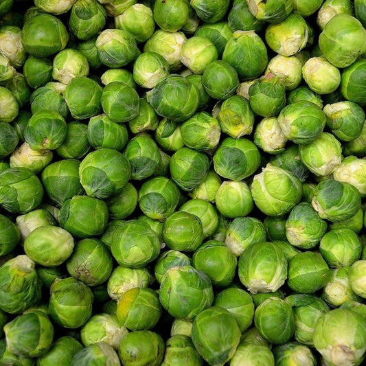 Brussels Sprouts - Long Island Improved