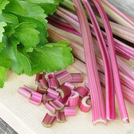 Celery - Peppermint Stick