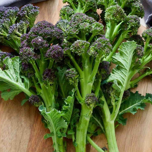 Broccoli - Purple Sprouting
