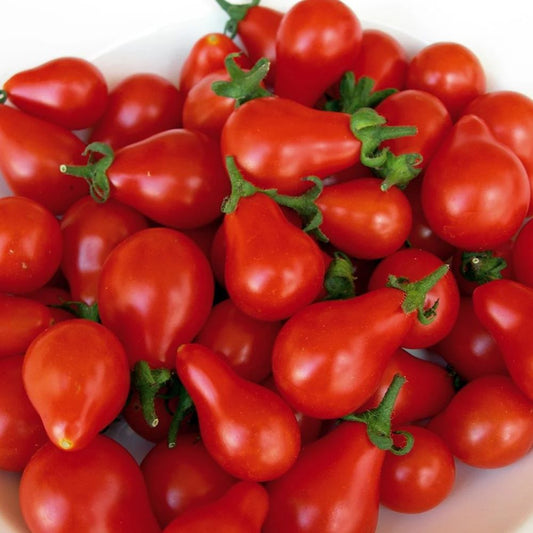 Tomato - Red Fig