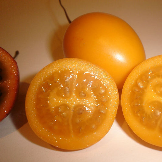 Tamarillo - Gold