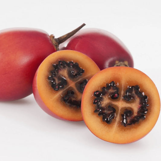 Tamarillo - Red