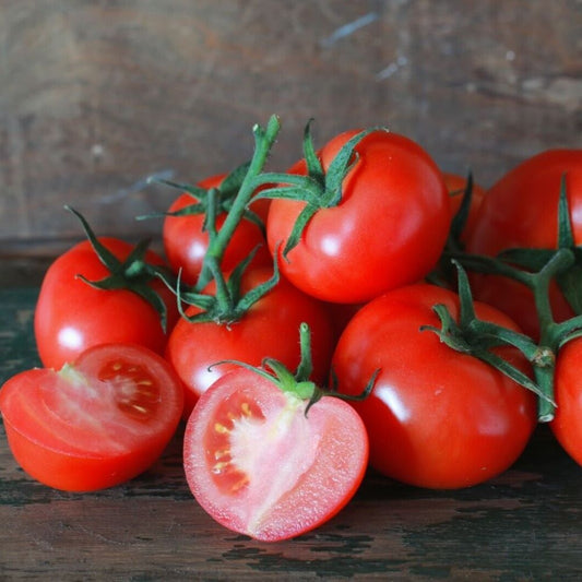 Tomato - Tatura Dwarf