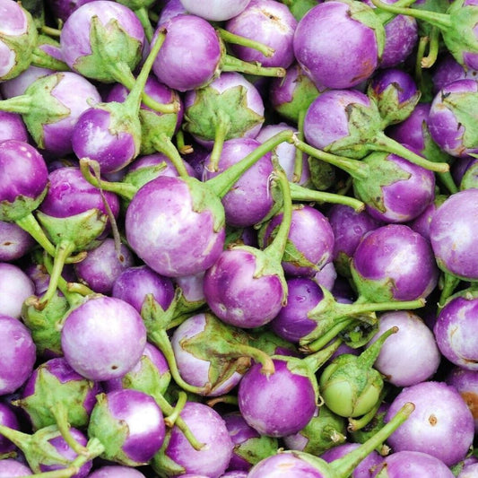 Eggplant - Thai Purple Ball