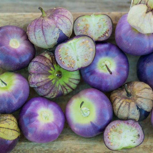 Tomatillo - Michoacan Purple
