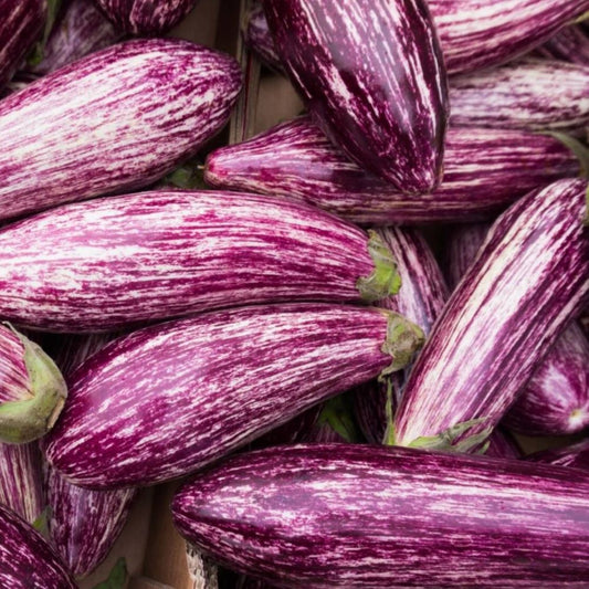Eggplant - Tsakoniki