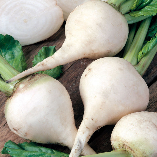 Beetroot - White