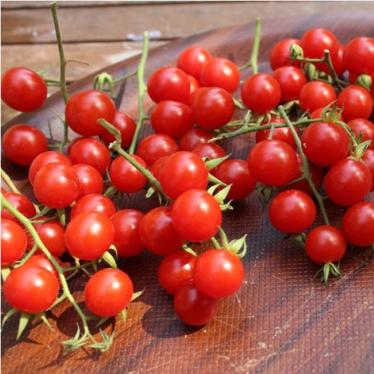 Tomato - Wild Sweetie