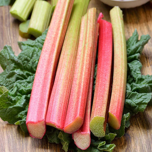 Rhubarb - Glaskins