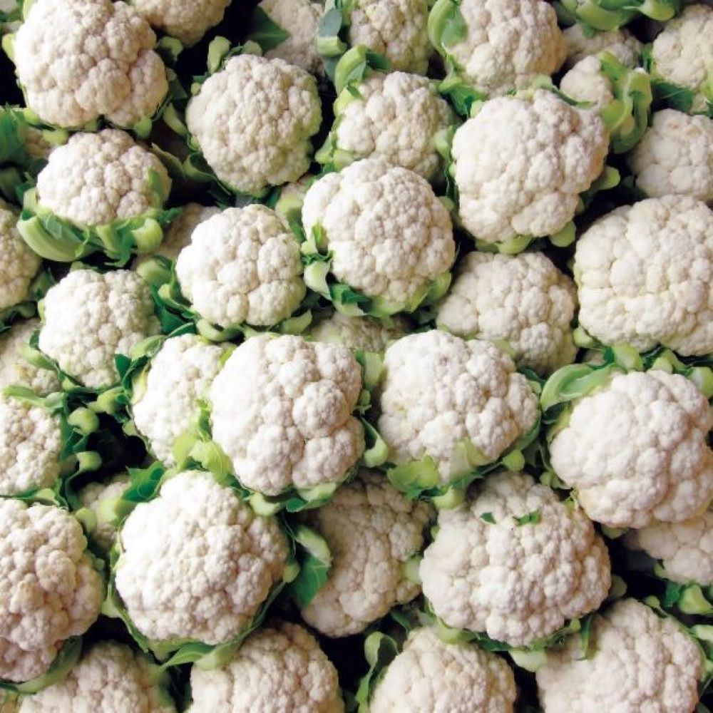 Cauliflower - Mini White