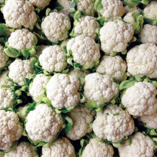Cauliflower - Mini White